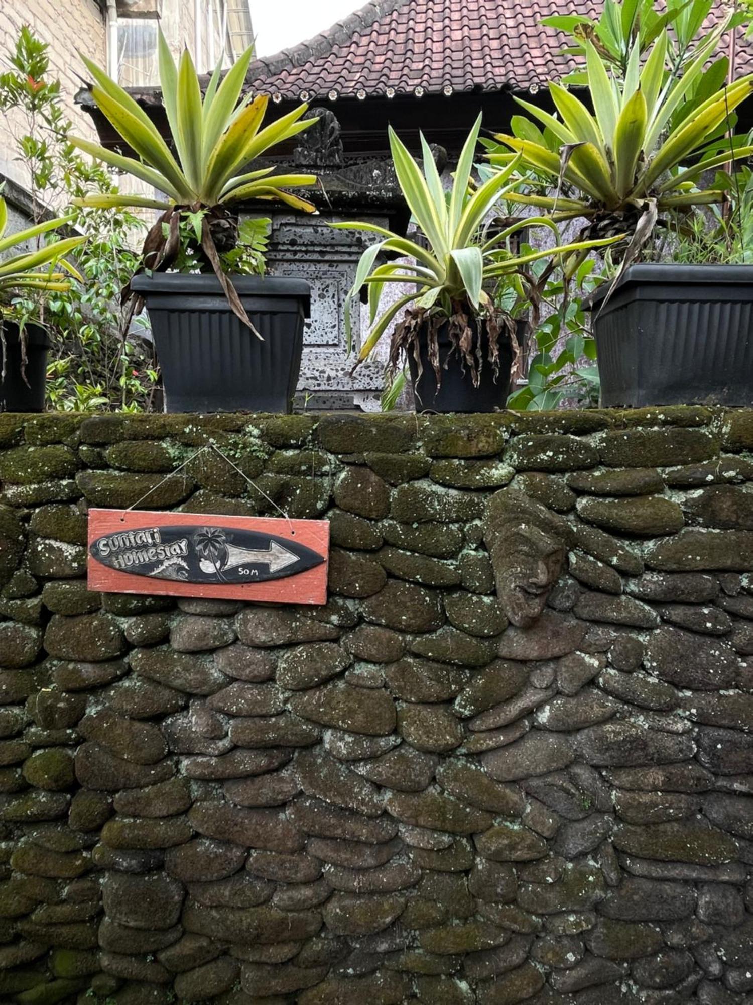 Suntari Homestay Ubud  Luaran gambar